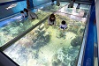 越前松島水族館