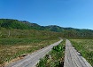 尾瀬の風景