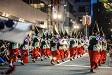 東京高円寺阿波おどり