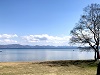 春の苗代湖