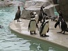 新潟市水族館マリンピア日本海