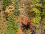 秋田県山間部の紅葉