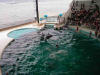 下関市立しものせき水族館海響館